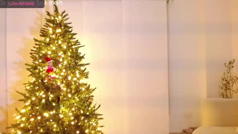 danna online show from December 2024 10:47:01 AM