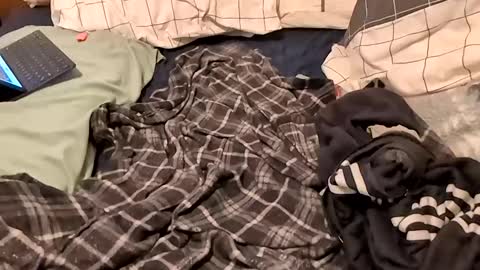 boiwithpussy online show from February 2025 01:36:01 AM