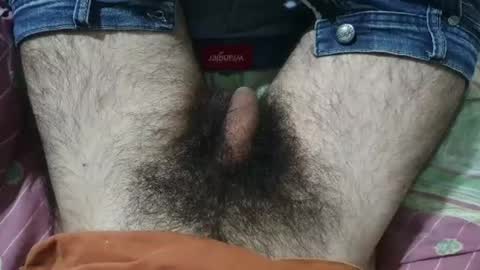Snapshot of bomvemcam chatting on May 2026 08:23:01 AM Im Bom - Tip if You Liked my Hairy Body - Private Show is Open - Read more about me in the bio below online show from May 2026 08:23:01 AM