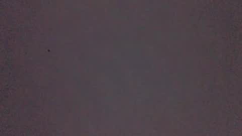 bonershow online show from November 2025 02:27:02 PM