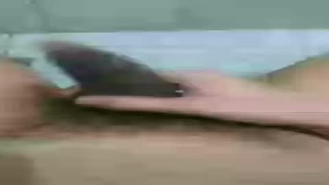 bonnie_021 online show from August 2026 06:38:01 AM