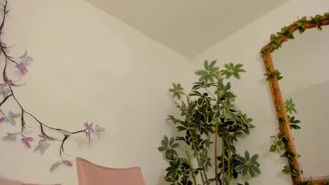   online show from November 2025 11:51:01 PM