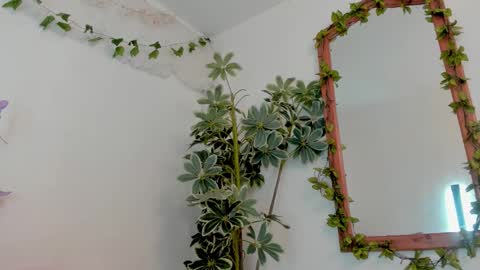   online show from March 2026 11:53:02 PM