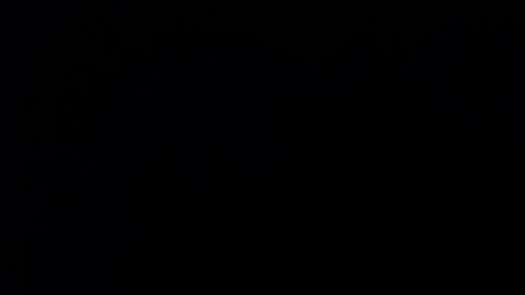 Snapshot of bonny_clyde_xx_ chatting on December 2024 08:47:01 AM Soffy Brooks Independent model online show from December 2024 08:47:01 AM