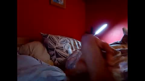 bonzoband online show from February 2026 11:25:02 AM