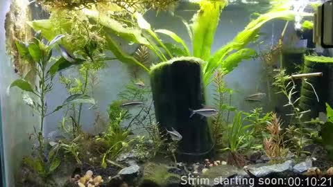 Booker Baxton online show from September 2025 02:58:02 AM