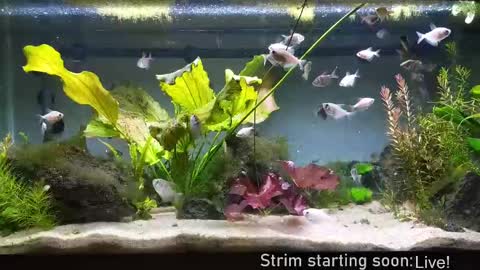 Booker Baxton online show from September 2025 03:10:02 AM