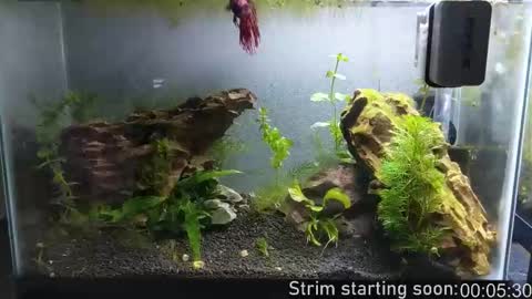 Booker Baxton online show from October 2025 03:05:01 AM