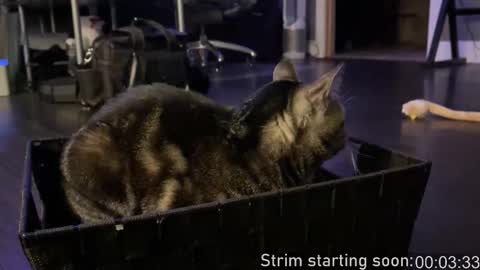 Booker Baxton online show from October 2025 03:06:02 AM