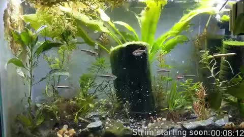 Booker Baxton online show from November 2025 04:00:01 AM