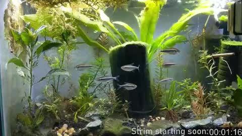 Booker Baxton online show from December 2025 04:06:01 AM