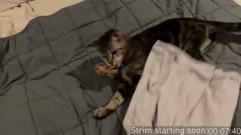 Booker Baxton online show from January 2026 04:03:01 AM