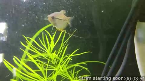 Booker Baxton online show from January 2026 04:07:02 AM