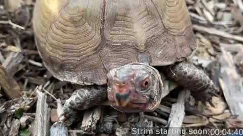 Booker Baxton online show from April 2026 03:07:02 AM