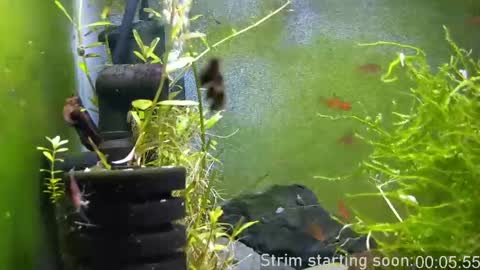 Booker Baxton online show from April 2026 03:04:02 AM