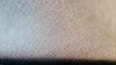 Snapshot of boolika chatting on March 2025 10:53:01 PM Boolika online show from March 2025 10:53:01 PM