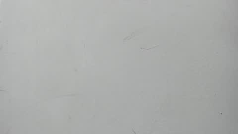 Maggie and Jay  online show from January 2025 07:05:01 PM