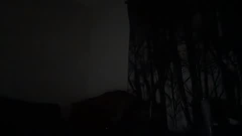 bootymaxxx online show from April 2026 02:48:02 AM