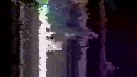 boredaf6678 online show from December 2025 01:25:01 AM