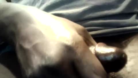 botofogo online show from October 2025 01:59:01 AM