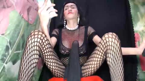 A M A N D A  MONSTERCOCK online show from October 2025 06:31:01 AM