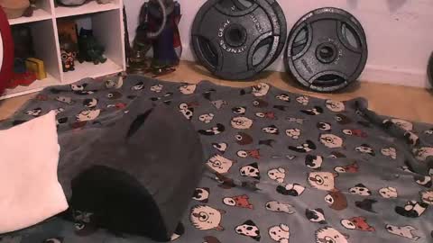 Pumpkin Butt online show from April 2026 06:29:02 AM