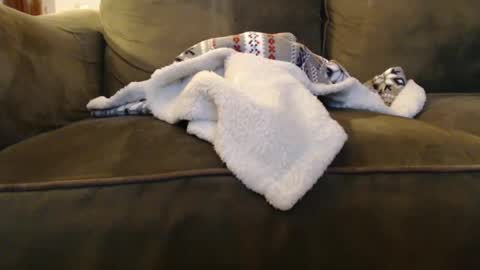 Snapshot of brandondot chatting on December 2024 08:04:02 AM brandondot online show from December 2024 08:04:02 AM