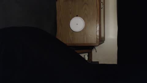 Snapshot of branflakes_ chatting on September 2025 02:44:02 AM branflakes_ online show from September 2025 02:44:02 AM