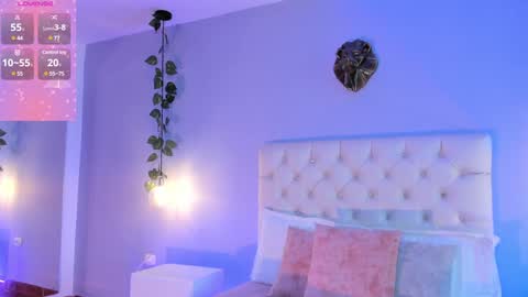   online show from December 2024 01:06:02 PM