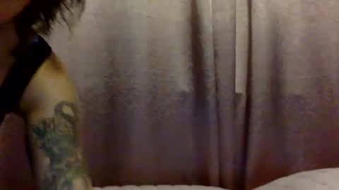 brasilierabrat online show from June 2026 02:33:02 AM