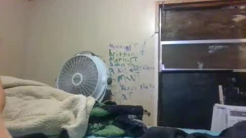 Bay online show from November 2025 09:35:01 AM