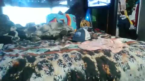 breezworld online show from November 2025 05:02:01 PM