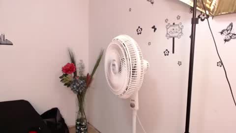 Brenda  online show from January 2025 03:15:01 PM