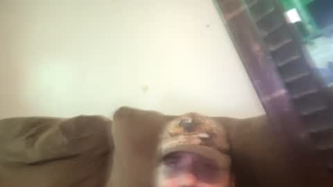 brennenangelle24atgmailcom online show from July 2026 09:51:01 PM