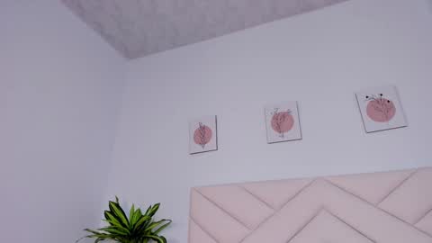   online show from December 2024 02:07:01 PM