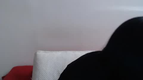 Briaa online show from November 2025 02:38:01 PM