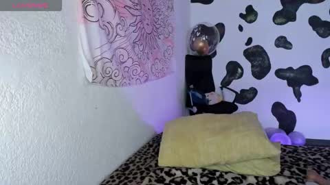 bri online show from November 2025 06:10:01 PM