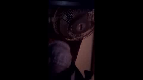 Brobator-gator online show from February 2026 12:39:01 AM