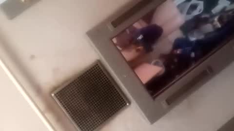 Brobator-gator online show from March 2026 07:21:02 PM