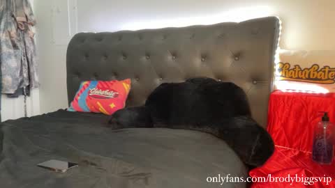 Brody Biggs online show from January 2026 08:21:02 PM