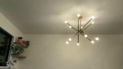 Bruce online show from April 2026 04:39:01 AM