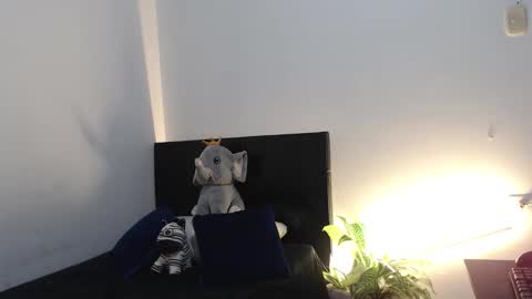 brucestroud online show from January 2026 02:43:02 PM