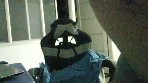 bruno_col online show from November 2025 03:17:01 AM