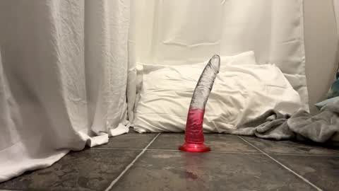 Bthexplorer69 online show from February 2026 08:31:02 PM