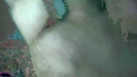 Snapshot of bubbabobo chatting on February 2026 10:41:02 AM bubbabobo online show from February 2026 10:41:02 AM