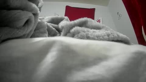 budsonly33 online show from December 2024 07:52:02 AM