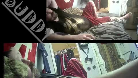 budsonly36 online show from February 2025 12:38:02 PM