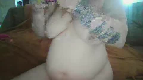 Kitty online show from March 2025 04:00:02 PM