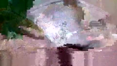 buffsurgeon1 online show from September 2025 05:34:02 PM