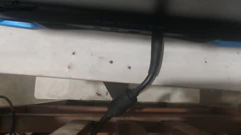 buldgeinboxer online show from January 2026 05:33:01 AM